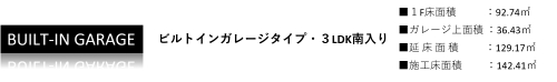 代表